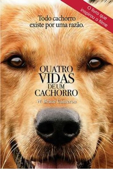 Picture of QUATRO VIDAS DE UM CACHORRO - TODO CACHORRO EXISTE POR UMA RAZAO - CAPA DO FILME